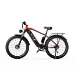 DUOTTS F26 Elektrische Fiets - Image 4