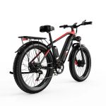 DUOTTS F26 Elektrische Fiets - Image 19