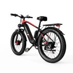DUOTTS F26 Elektrische Fiets - Image 20