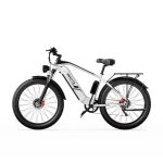 DUOTTS F26 Elektrische Fiets - Image 5