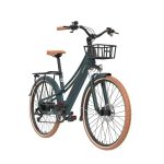 EMOTORAD Plymouth elektrische fiets - Image 6
