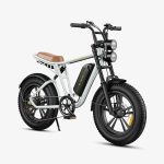 ENGWE M20 Elektrische Fiets met Één Accu - Image 2
