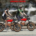 HIDOES B10 Elektrische Fiets met Brede Banden - Image 11