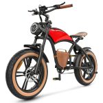 HIDOES B10 Elektrische Fiets met Brede Banden