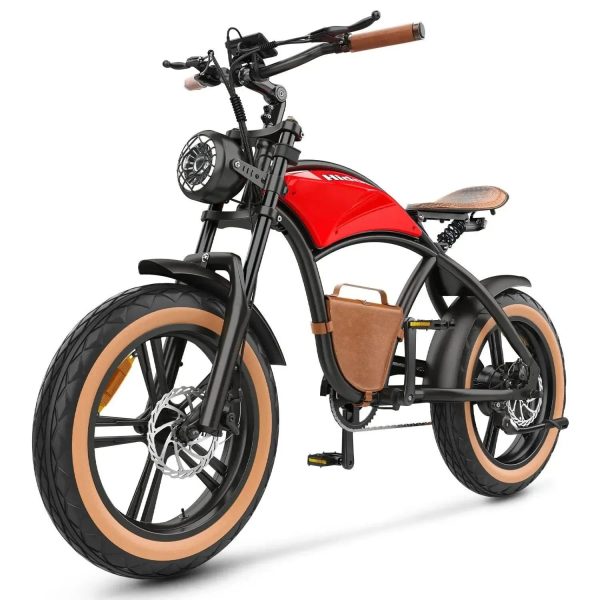 HIDOES B10 Elektrische Fiets met Brede Banden