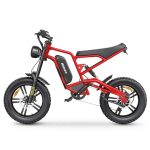 HIDOES B6 Elektrische Fiets