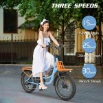 HIDOES C6 Opvouwbare Elektrische Fiets - Image 14