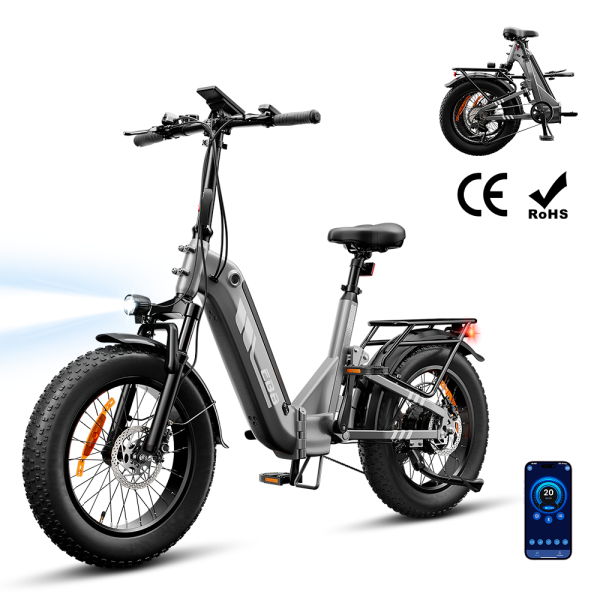 EB8 20" Fat Tire Folding Electric Bike with Torque Sensor