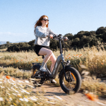 EB8 20" Fat Tire Folding Electric Bike with Torque Sensor - Image 22